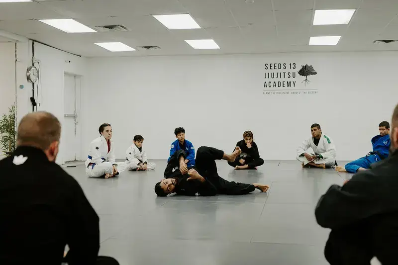 Adults training BJJ at Seeds 13
